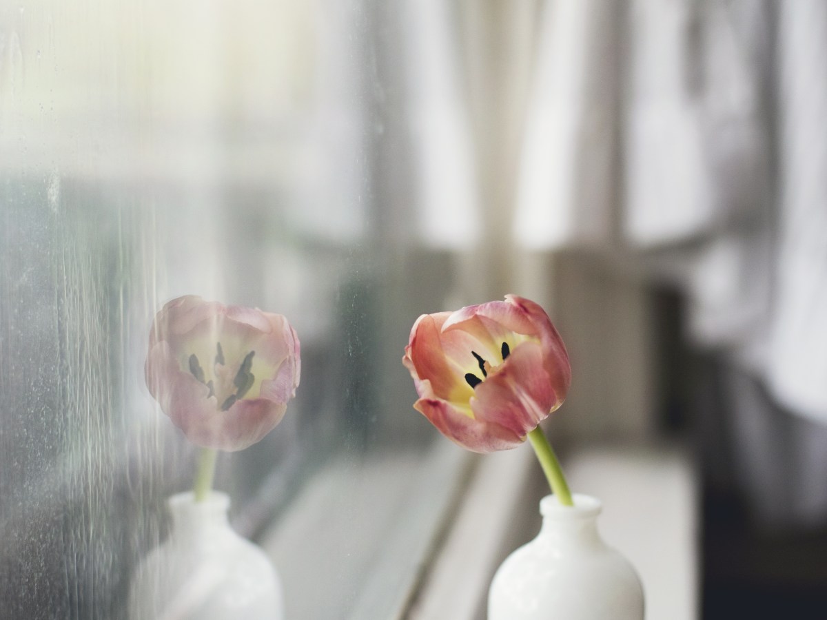 The Gift of&nbsp;Stillness