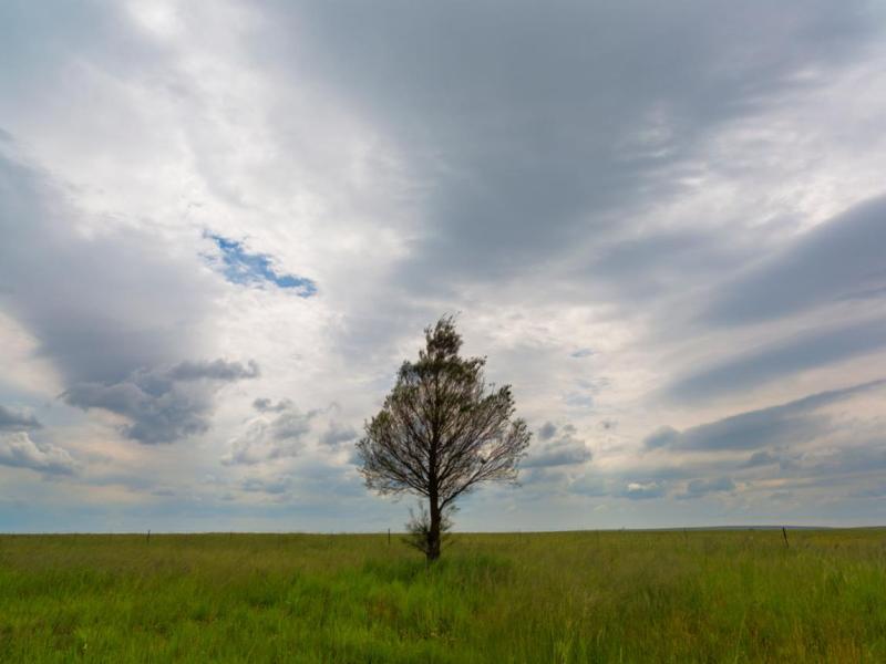 A Surrendered Life