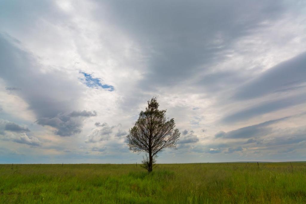 A Surrendered Life